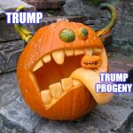 Trump mini-mes | TRUMP; TRUMP PROGENY | image tagged in memes,funny memes,political meme,trump,donald trump is an idiot,donald trump jr | made w/ Imgflip meme maker