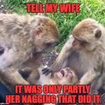 And as the curtain descended, his final thoughts were of his beloved Kiko... | TELL MY WIFE; IT WAS ONLY PARTLY HER NAGGING THAT DID IT. | image tagged in shocked monkey,memes,monkeys,tell my wife | made w/ Imgflip meme maker