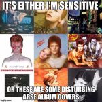 Sorry David...  | IT'S EITHER I'M SENSITIVE; OR THESE ARE SOME DISTURBING ARSE ALBUM COVERS | image tagged in david bowie 70s albums,david bowie,memes | made w/ Imgflip meme maker