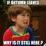 Walking in on the middle of a conversation | IF AUTUMN LEAVES; WHY IS IT STILL HERE ? | image tagged in why do you not mature,kids these days,misunderstanding | made w/ Imgflip meme maker