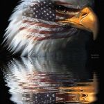 Am eagle | AMERICA THE BEAUTIFUL | image tagged in am eagle | made w/ Imgflip meme maker