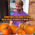 JP Sears Pumpkin Edition | SOMETIMES YOU HAVE TO DEAL WITH SEEDS IN ORDER TO MAKE A PIE | image tagged in jp sears pumpkin edition,pumpkin pie,pumpkin spice,most obviously interesting pumpkin,great pumpkin | made w/ Imgflip meme maker