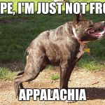 Inbred dog | NOPE, I'M JUST NOT FROM; APPALACHIA | image tagged in inbred dog | made w/ Imgflip meme maker