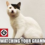 Hitler Cat | I’M WATCHING YOUR GRAMMAR | image tagged in hitler cat,memes,grammar nazi,cats | made w/ Imgflip meme maker