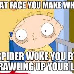 scared | THAT FACE YOU MAKE WHEN; SPIDER WOKE YOU BY CRAWLING UP YOUR LEG | image tagged in scared | made w/ Imgflip meme maker