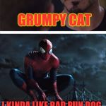 Meme War Week Oct. 1st to 7th | BAD LUCK BRIAN; GRUMPY CAT; I KINDA LIKE BAD PUN DOG; MEME WAR | image tagged in civil war meme with spider-man,meme war,meme wars | made w/ Imgflip meme maker