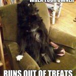 Dogs | WHEN YOUR OWNER; RUNS OUT OF TREATS | image tagged in dogs | made w/ Imgflip meme maker