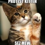 PROTEST KITTAH | PROTEST KITTEH; SEZ MEW | image tagged in protest kittah | made w/ Imgflip meme maker
