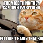 Army Cat | THE MICE THINK THEY CAN OWN EVERYTHING; WELL I AIN'T HAVIN THAT SHIT! | image tagged in army cat | made w/ Imgflip meme maker