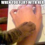 stop cat | WHEN YOU FLIRT WITH HER | image tagged in stop cat | made w/ Imgflip meme maker