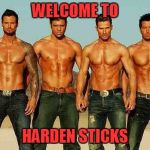 Male strippers | WELCOME TO; HARDEN STICKS | image tagged in male strippers | made w/ Imgflip meme maker