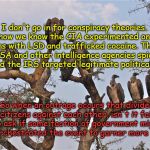 Government Conspiracies | I don't go in for conspiracy theories. But now we know the CIA experimented on U.S. citizens with LSD and trafficked cocaine. The FBI, NSA and other intelligence agencies spied on us and the IRS targeted legitimate political groups. So when an outrage occurs that divides citizens against each other, isn't it fair to ask if some faction of government might have orchestrated the event to garner more power? | image tagged in vultures in tree,conspiracy,voluntarily surrender your rights,gov't collusion | made w/ Imgflip meme maker