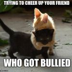 Bullies | TRYING TO CHEER UP YOUR FRIEND; WHO GOT BULLIED | image tagged in kitten hugs,sad cat | made w/ Imgflip meme maker