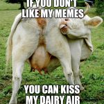 That's a nice piece of meet.  | IF YOU DON'T LIKE MY MEMES; YOU CAN KISS MY DAIRY AIR | image tagged in cow ass | made w/ Imgflip meme maker