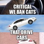 Put your eyes on the road and your paws on the wheel.  | CRITICAL WE BAN CATS; THAT DRIVE CARS | image tagged in cat car | made w/ Imgflip meme maker