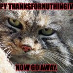 Holiday Greeting Manul Style | HAPPY THANKSFORNUTHINGIVING. NOW GO AWAY. | image tagged in pissed off pallas's cat | made w/ Imgflip meme maker