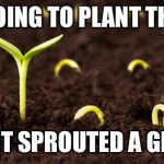 Germinated | I WAS GOING TO PLANT THAT SEED; BUT BEFORE IT SPROUTED A GERMAN ATE IT | image tagged in seeds,memes | made w/ Imgflip meme maker