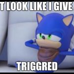 Sonic Doesn't Care | DOES IT LOOK LIKE I GIVE A SHIT; TRIGGRED | image tagged in sonic doesn't care | made w/ Imgflip meme maker