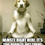 namaste | NAMSTE RIGHT HERE. IT'S TOO PEOPLEY OUT THERE. | image tagged in namaste | made w/ Imgflip meme maker