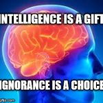Human Brain | INTELLIGENCE IS A GIFT; IGNORANCE IS A CHOICE | image tagged in human brain | made w/ Imgflip meme maker