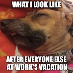 Ruby | WHAT I LOOK LIKE; AFTER EVERYONE ELSE AT WORK'S VACATION | image tagged in ruby | made w/ Imgflip meme maker