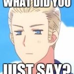 Don't mess with Hetalia Germany  | WHAT DID YOU; JUST SAY? | image tagged in don't mess with hetalia germany | made w/ Imgflip meme maker