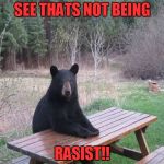 Black Bear | SEE THATS NOT BEING; RASIST!! | image tagged in black bear | made w/ Imgflip meme maker
