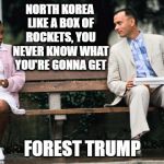 Forest Gump | NORTH KOREA LIKE A BOX OF ROCKETS, YOU NEVER KNOW WHAT YOU'RE GONNA GET; FOREST TRUMP | image tagged in forest gump | made w/ Imgflip meme maker