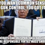 Donald Trump Executive Order | YOU WANT COMMON SENSE GUN CONTROL, YOU GOT IT; EO DEMOCRATS CAN ONLY PURCHASE BB GUNS SINCE THEY ARE RESPONSIBLE FOR ALL MASS SHOOTINGS! | image tagged in donald trump executive order | made w/ Imgflip meme maker
