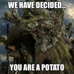 treebeard | WE HAVE DECIDED... YOU ARE A POTATO | image tagged in treebeard | made w/ Imgflip meme maker