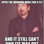 That face you make | THAT FACE YOU MAKE WHEN YOU OPEN THE WINDOW WIDE FOR A FLY, AND IT STILL CAN'T FIND ITS WAY OUT. | image tagged in that face you make | made w/ Imgflip meme maker