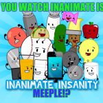 Inanimate insanity | WHEN YOU WATCH INANIMATE ISANITY; MEEPLE!? | image tagged in inanimate insanity,memes,funny,meeple | made w/ Imgflip meme maker