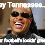 tennessee football | Hey Tennessee..... your football's lookin' great!!! | image tagged in tennessee football | made w/ Imgflip meme maker