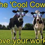cool cows | The 'Cool Cows'; love your work! | image tagged in cool cows | made w/ Imgflip meme maker