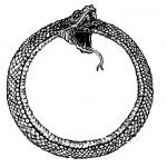 Ouroboros Meme Generator - Imgflip