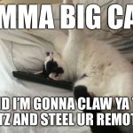 Imma big cat | I’MMA BIG CAT; AND I’M GONNA CLAW YA TO BITZ AND STEEL UR REMOTTE | image tagged in imma big cat | made w/ Imgflip meme maker