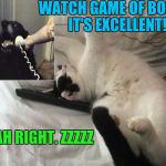 DOGGY LIKES BONES. KITTY LIKES NAPS. :D | WATCH GAME OF BONES. IT'S EXCELLENT! YEAH RIGHT. ZZZZZ | image tagged in imma big cat,funny,memes,cats,dogs,animals | made w/ Imgflip meme maker