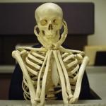 Still Waiting Skeleton 