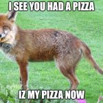 Survival of the foxiest | I SEE YOU HAD A PIZZA; IZ MY PIZZA NOW | image tagged in furry pizza,fox,pizza,cute | made w/ Imgflip meme maker
