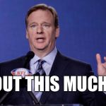 How much $ has the anthem anti-USA protest cost the NFL? | ABOUT THIS MUCH. | image tagged in le goof of de nfl,stupid players,brainwashed america,duh nfl commissioner | made w/ Imgflip meme maker