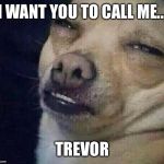 Too Dank | I WANT YOU TO CALL ME... TREVOR | image tagged in too dank | made w/ Imgflip meme maker
