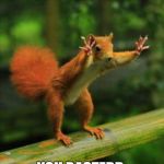 RED SQUIRREL  | YOU KILLED KENNY; YOU BASTERD | image tagged in red squirrel | made w/ Imgflip meme maker