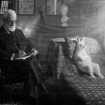 Freud and rabbit