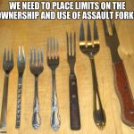 Fork | WE NEED TO PLACE LIMITS ON THE OWNERSHIP AND USE OF ASSAULT FORKS. | image tagged in fork | made w/ Imgflip meme maker