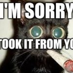 Meowiiwowii | I'M SORRY; I TOOK IT FROM YOU | image tagged in meowiiwowii | made w/ Imgflip meme maker