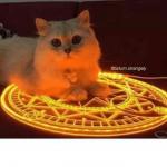 Satanic Ritual Cat, Bigger