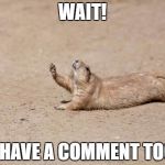 Drought PrarieDog | WAIT! I HAVE A COMMENT TOO | image tagged in drought prariedog | made w/ Imgflip meme maker