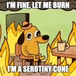 House on fire dog | I'M FINE, LET ME BURN; I'M A SEROTINY CONE | image tagged in house on fire dog | made w/ Imgflip meme maker