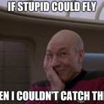 Stupid Joke Picard | IF STUPID COULD FLY; EVEN I COULDN'T CATCH THEM | image tagged in stupid joke picard | made w/ Imgflip meme maker