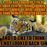 10 11 2016 - 10 11 2017 Celebrating one year of TigerLegend1046. My friend is ShayminMemes, pls drop him some upvotes, thanks :) | A YEAR AGO TODAY, THE 11TH OF OCTOBER 2016, MY FRIEND SHOWED ME THIS SITE WHEN WE WERE LOOKING TO MAKE SOME MEMES. I CREATED AN ACCOUNT; AND I'D LIKE TO THINK I'VE NOT LOOKED BACK SINCE | image tagged in memes,tigerlegend1046,shayminmemes,best friend,memeiversary,one year anniversary | made w/ Imgflip meme maker